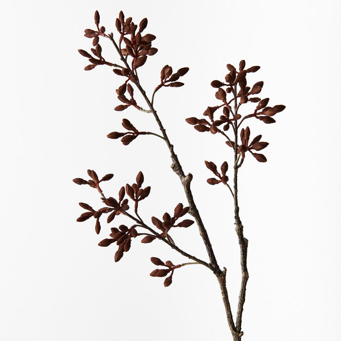 Simplex Seed  Spray Chocolate Brown 70cm Pack of 12