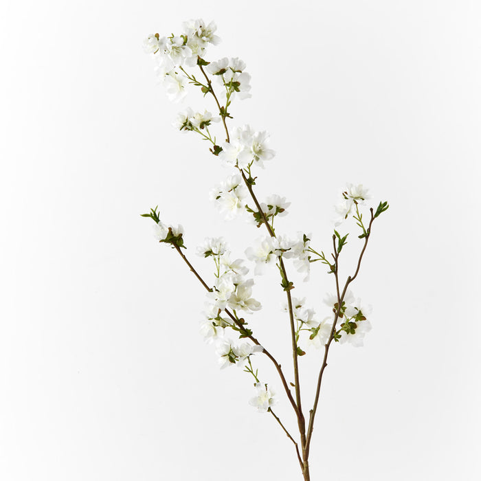 Blossom Cherry White 99cm Set of 12