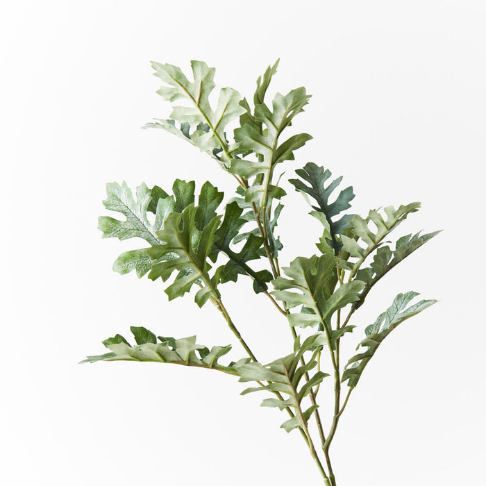 Dusty Miller Spray Grey Green 66cm - Pack of 12