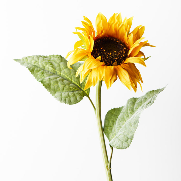 Sunflower Stem Yellow 61cm Pack of 12