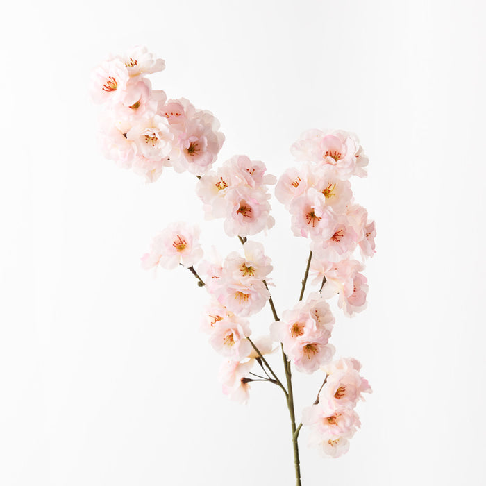 Blossom Apple Light Pink 99cm Pack of 12