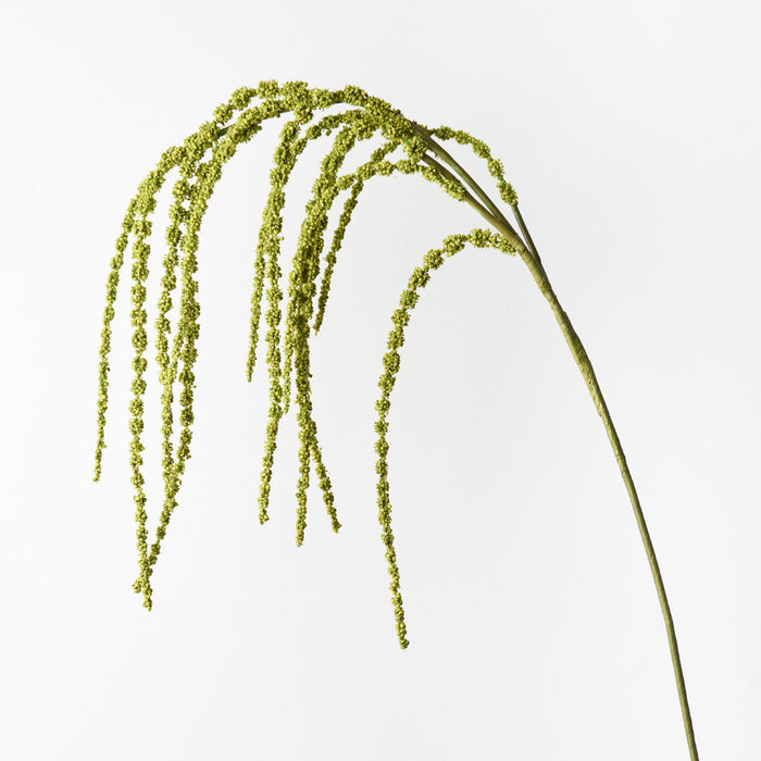 Amaranthus Spray Green 127cm Pack of 12