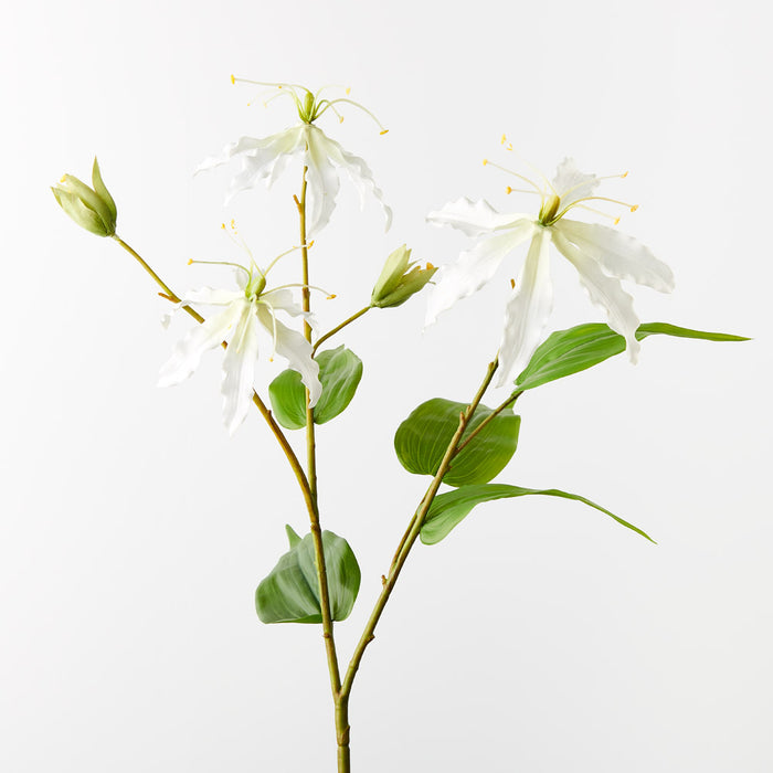 Lily Gloriosa Spray White 74cm - Pack of 12