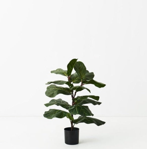 Fiddle Leaf Tree Green 70cm Set of 2