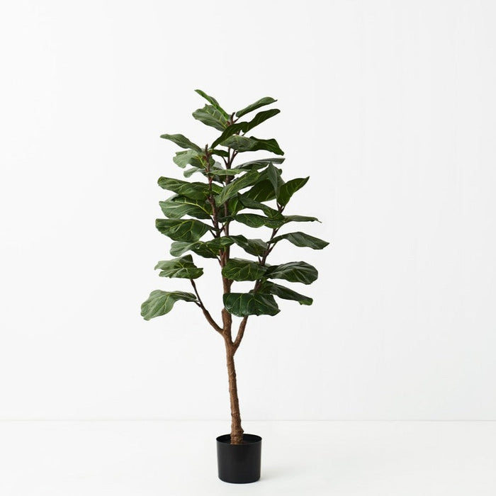 Fiddle Leaf Tree Green 145cm Set of 2