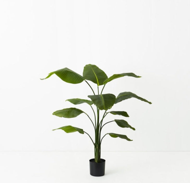 Bird of Paradise Plant Green 150cm Set of 2