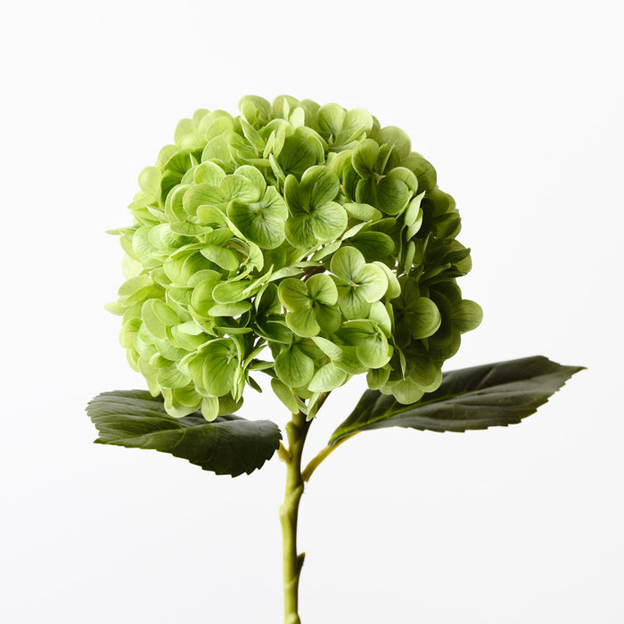Hydrangea Green 49cm Pack of 12