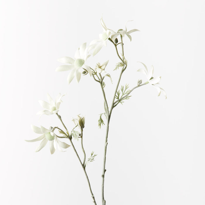 Flannel Flower Spray Cream Green 78cm - Pack of 12