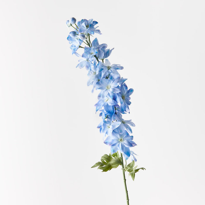 Delphinium Blue 90cm - Pack of 12