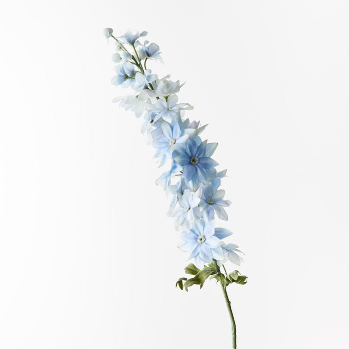 Delphinium Light Blue 90cm - Pack of 12