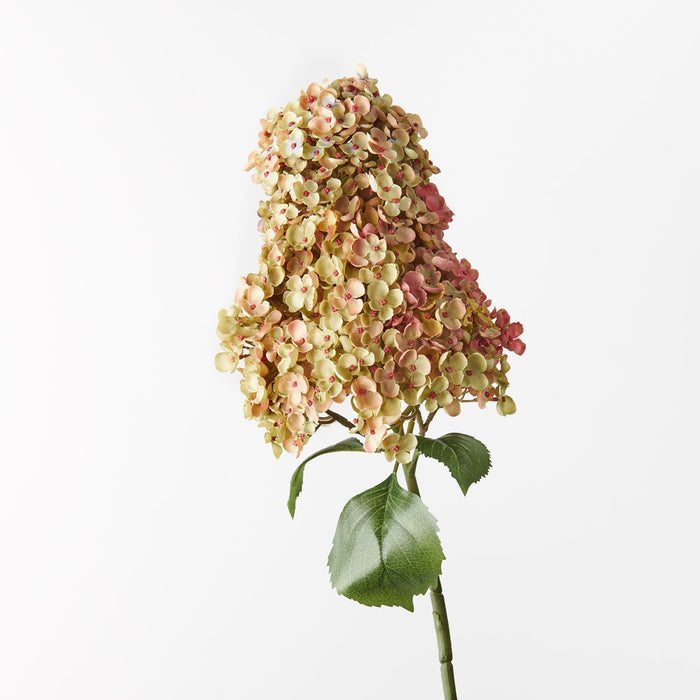Hydrangea Cone Green Mauve 104cm - Pack of 6