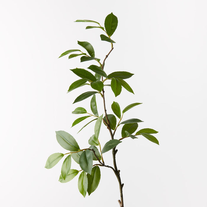 Bay Leaf Spray Green 82cm - Pack of 12