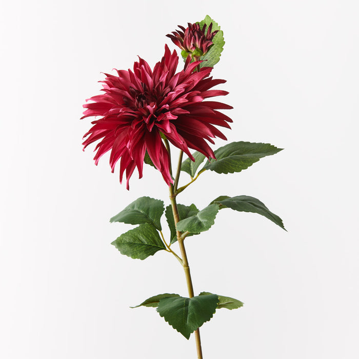 Dahlia Spray Fuschia 74cm - Pack of 12