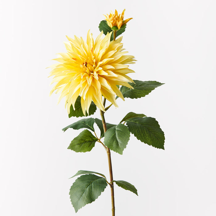 Dahlia Spray Yellow 74cm - Pack of 12