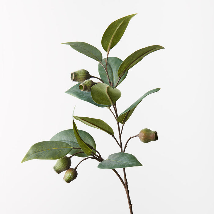 Eucalyptus Gum Nut Spray Green 61cm - Pack of 12
