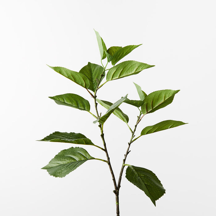 Hydrangea Leaf Spray Green 70cm - Pack of 12