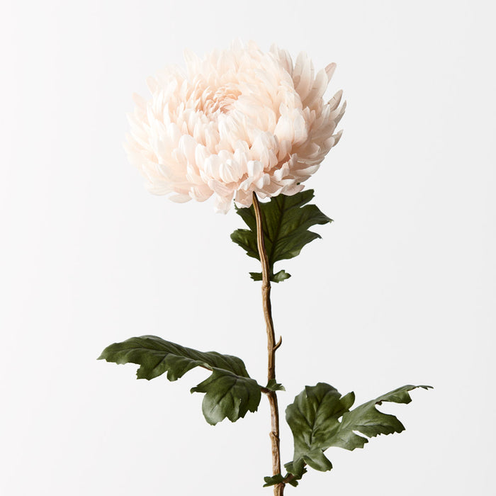 Chrysanthemum Cream 76cm - Pack of 12