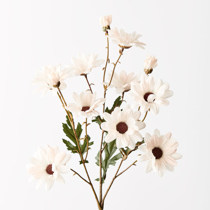 Daisy Spray Dusty Cream 68cm - Pack of 12