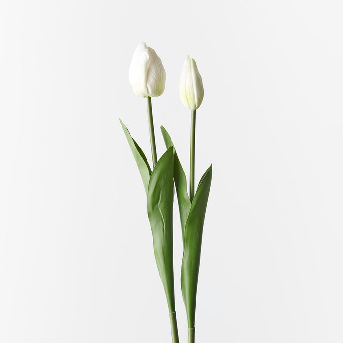 Tulip Bud & Bloom White 49cm 2 Pieces - Pack of 12