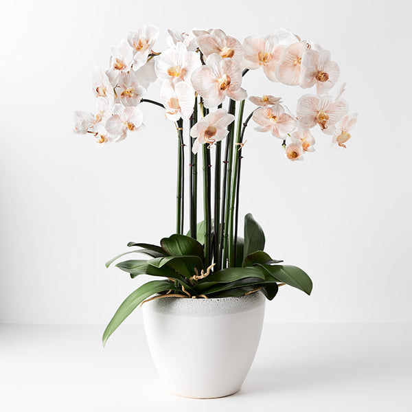 Arrangements & Florals