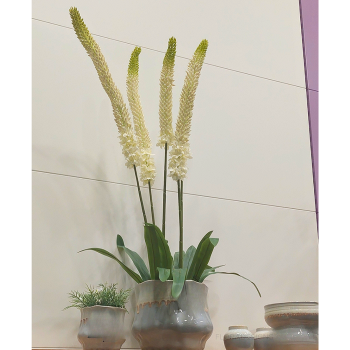 Lily Foxtail Plant White 105cm