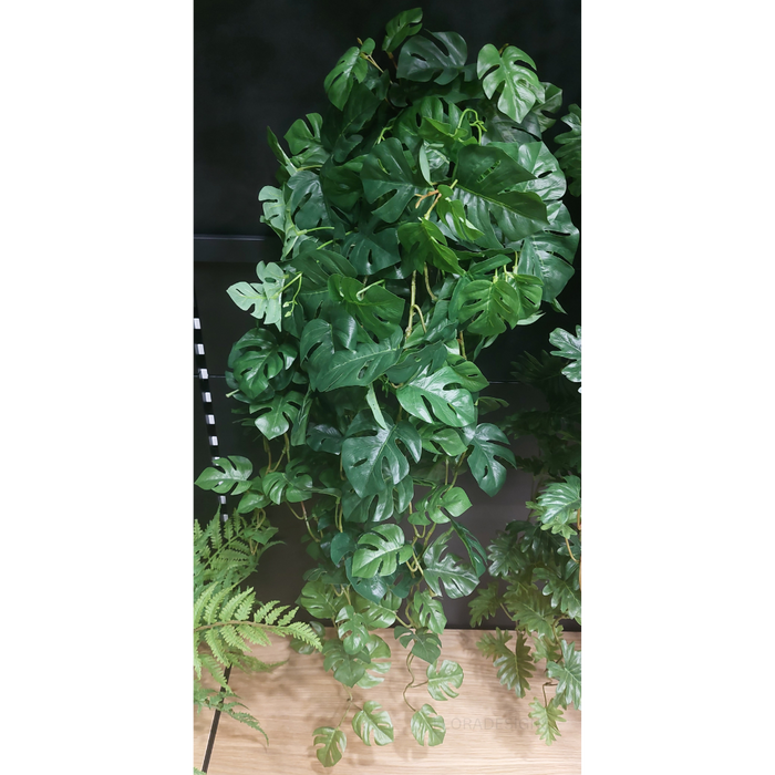 Monstera Hanging Bush Green 91cm Pack of 4