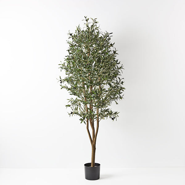 Artificial Plants & Trees