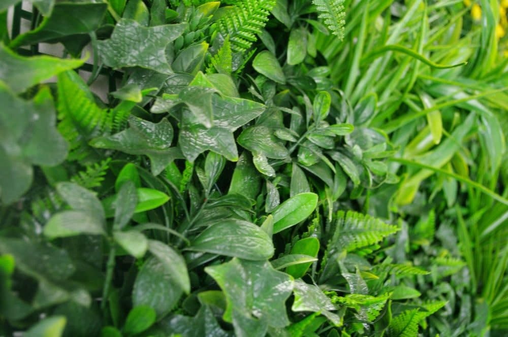 Green Tropics Vertical Garden/Green Wall UV Resistant 1m x 1m