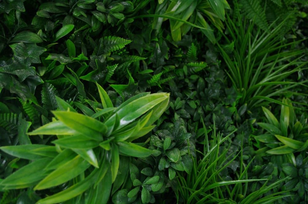 Green Tropics Vertical Garden/Green Wall UV Resistant 1m x 1m