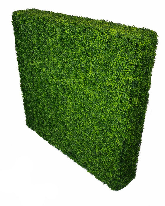 Large Portable Boxwood Hedges UV Stabilised 1.5m By 1.5m