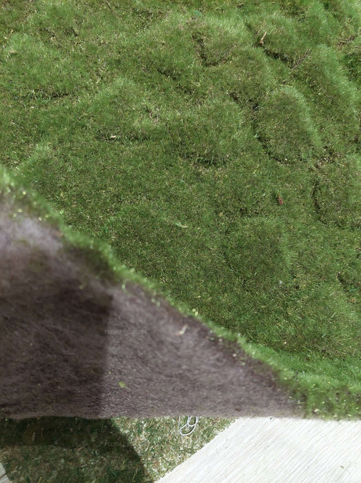 Moss Mat Large 100cm x 50cm Green Pack of 2