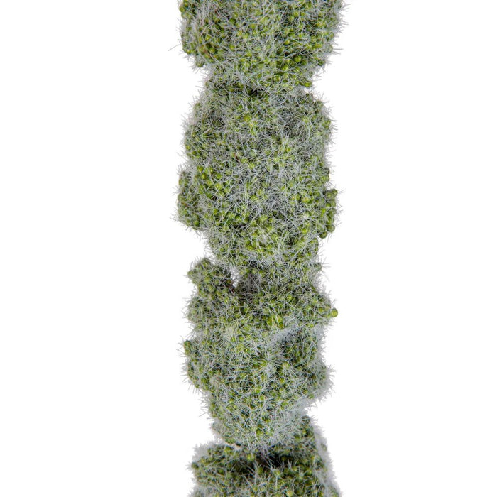 Amaranthus Hanging Spray 145cm Green Pack of 12