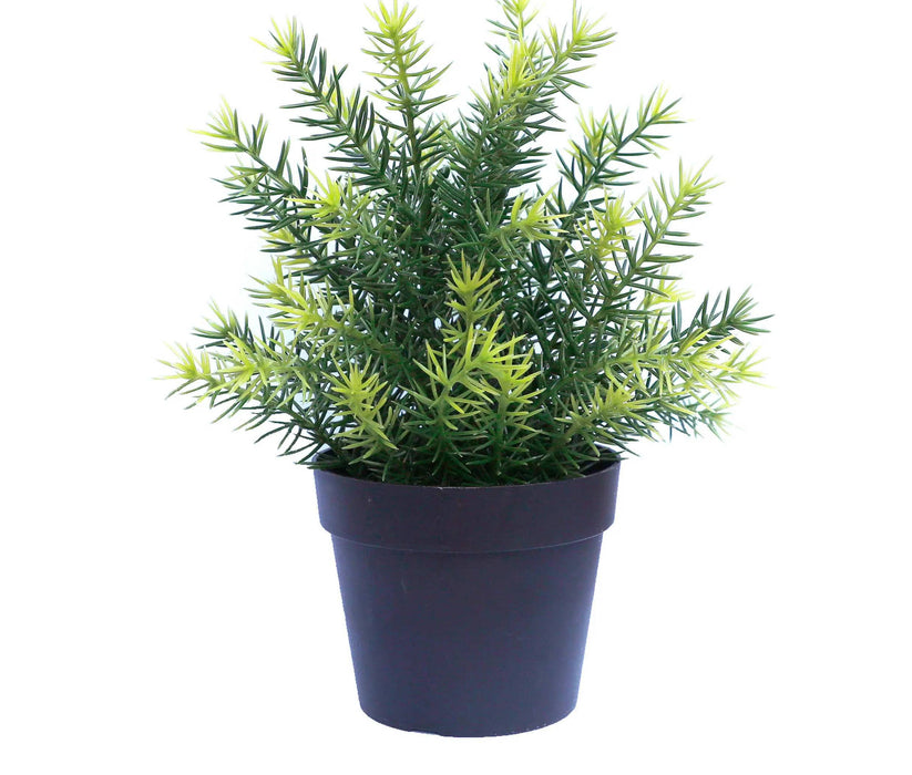 Artificial Native Grass Plant Potted UV Resistant 20cm Set of 4