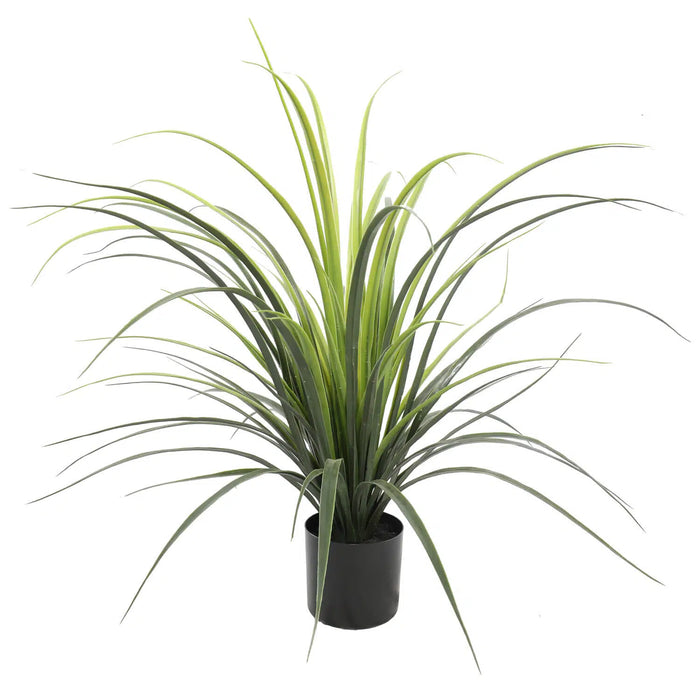 Long Yucca Grass Potted 75cm UV Resistant