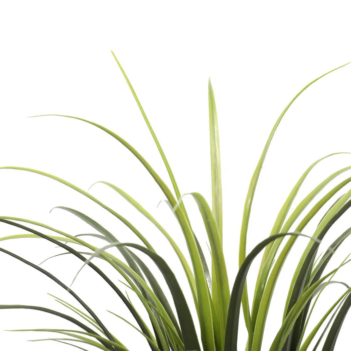 Long Yucca Grass Potted 75cm UV Resistant