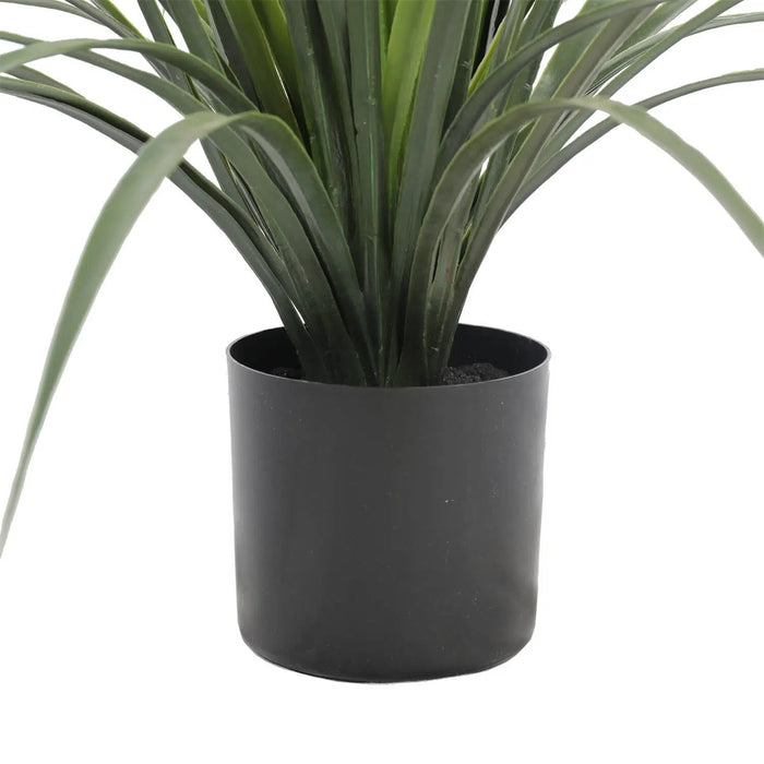 Long Yucca Grass Potted 75cm UV Resistant
