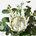 Artificial Protea King Mix in Vase - White - 30cm