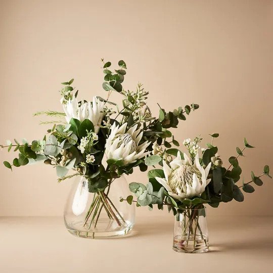 Artificial Protea King Mix in Vase - White - 30cm