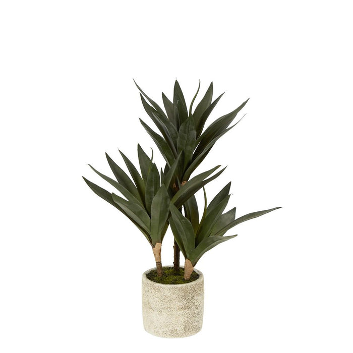 Baby Yucca Plant In Cement Pot 43cm Set of 2