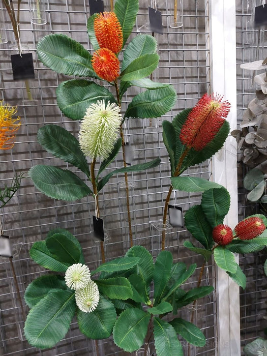 Banksia Robur Spray 76cm White Green Pack of 12