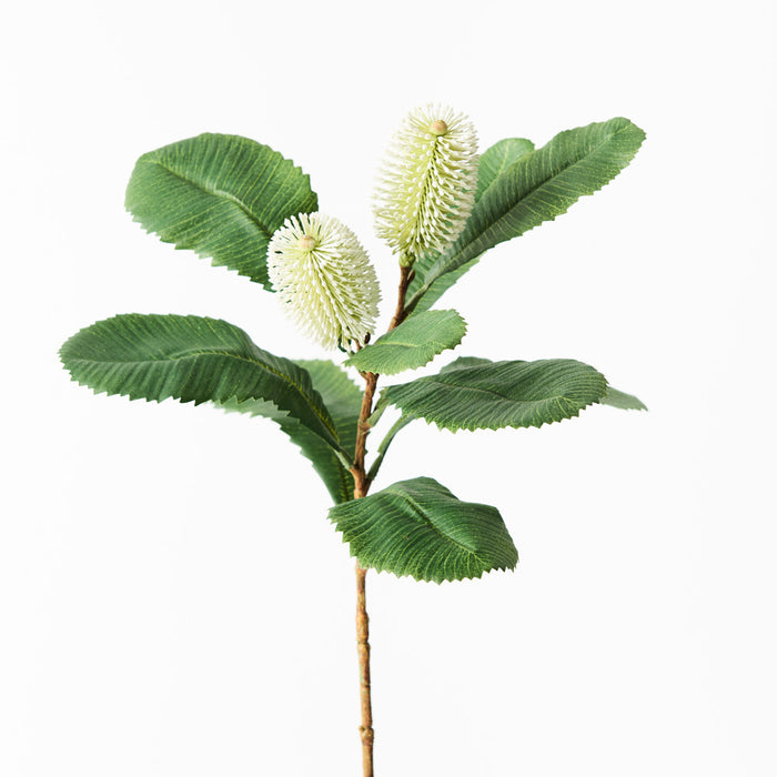 Banksia Robur Spray 76cm White Green Pack of 12