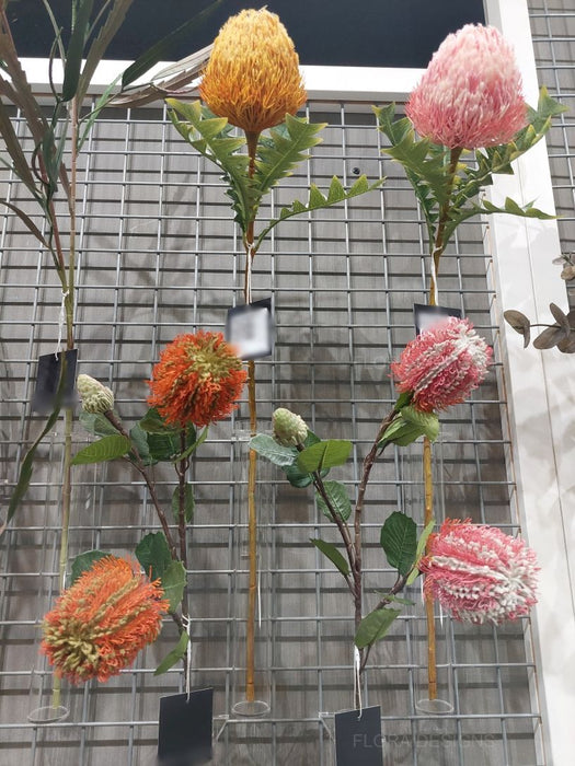 Banksia Acorn Stem 69cm Orange Pack of 12