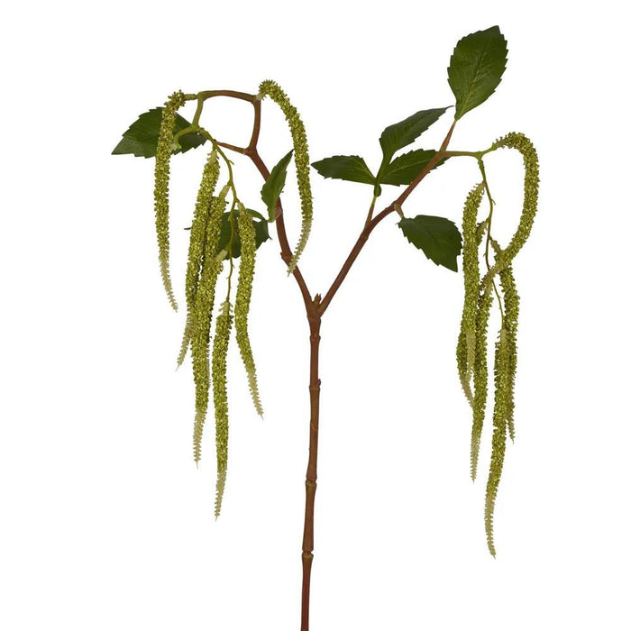 Amaranthus Hanging Plant Green 90cm Set of 12
