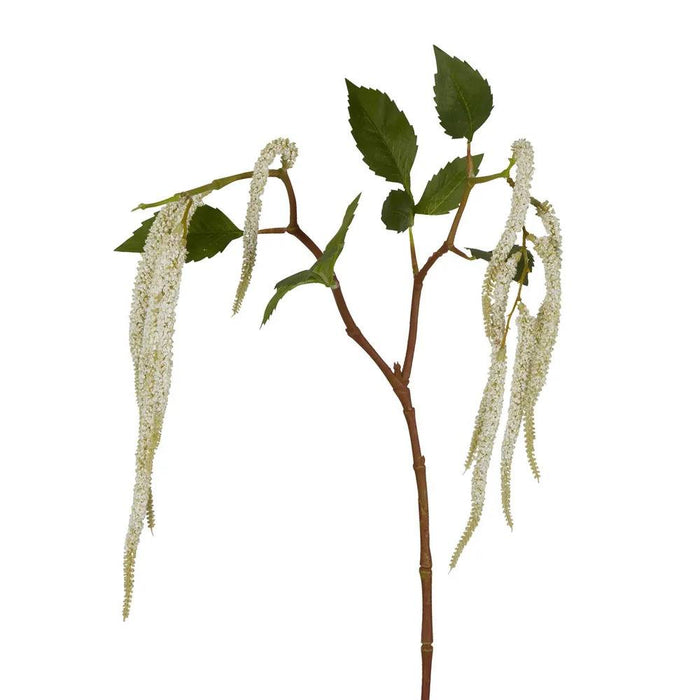 Amaranthus Hanging Plant White 90cm Set of 12