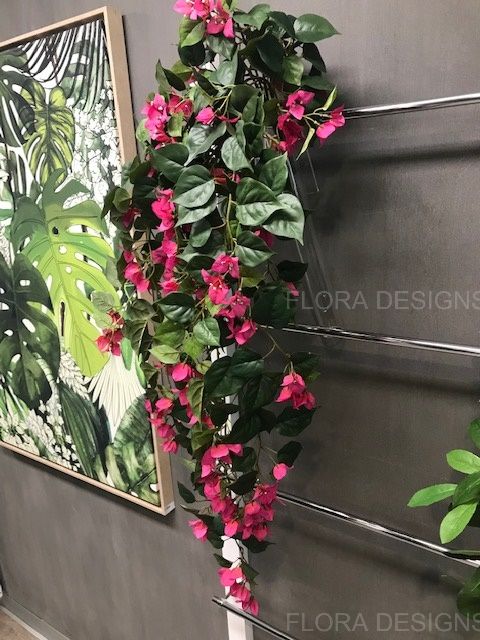 Bougainvillea Hanging Bush Fuschia Pink 70cm Pack of 6