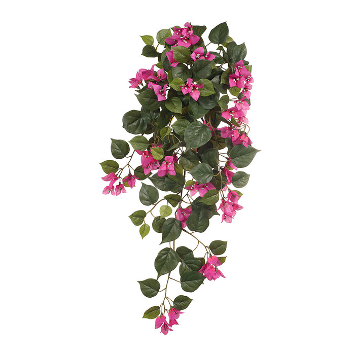 Bougainvillea Hanging Bush Fuschia Pink 70cm Pack of 6