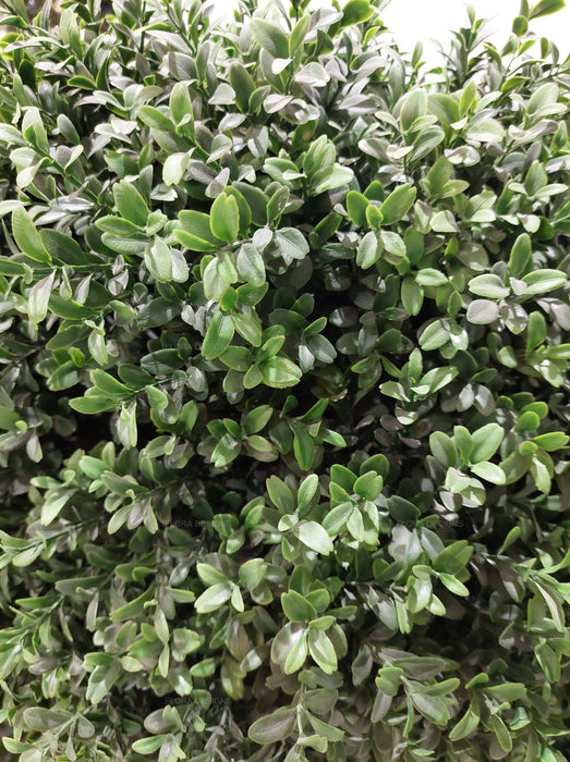 Boxwood Ball Topiary Tree 150cm