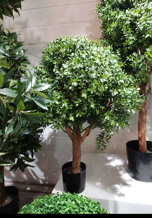 Boxwood Ball Topiary Tree 75cm