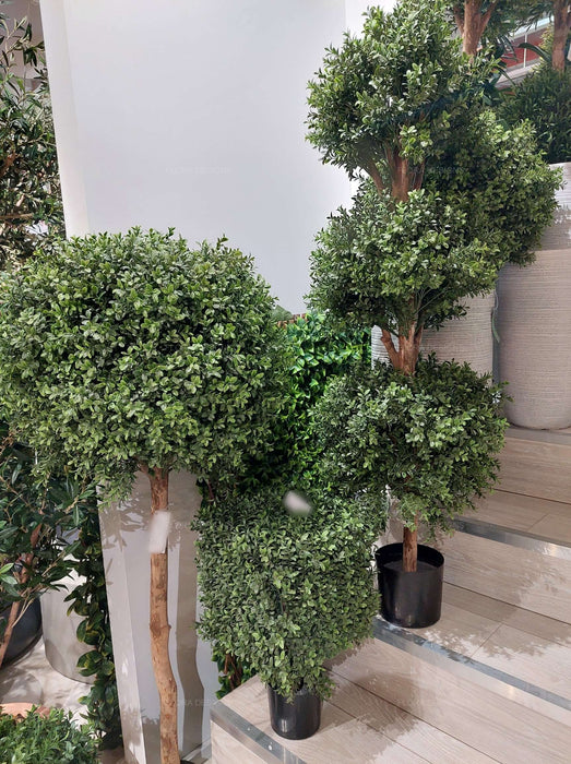 Boxwood Triple Ball Topiary Tree 120cm