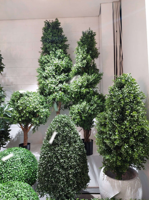 Boxwood Spiral Topiary Tree 140cm
